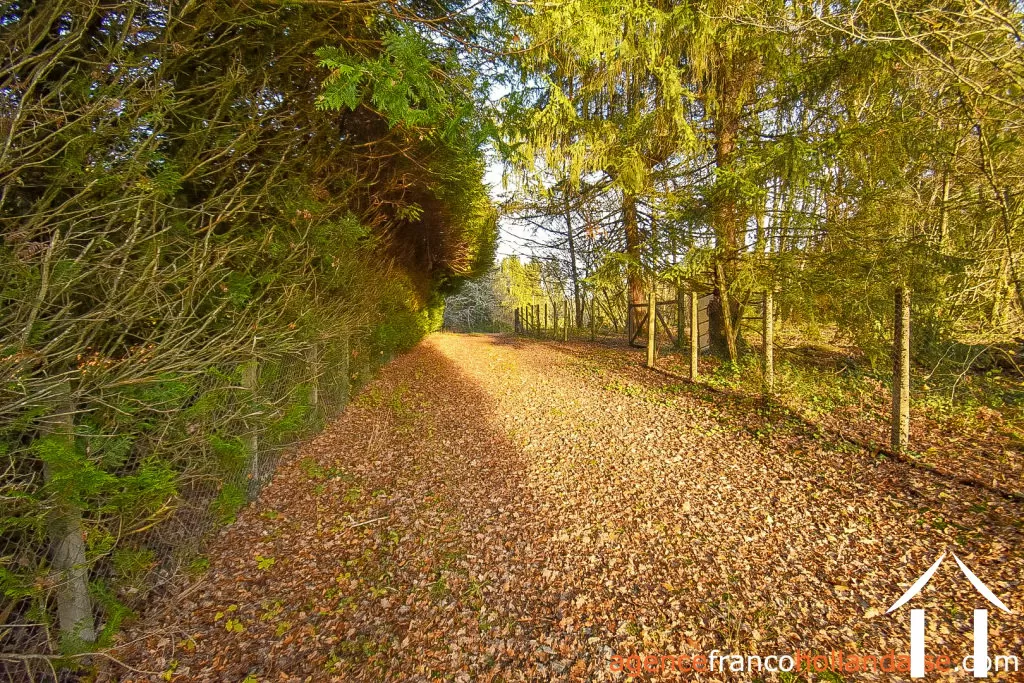 Dorpshuis te koop linards, limousin, Li856 Afbeelding - 91