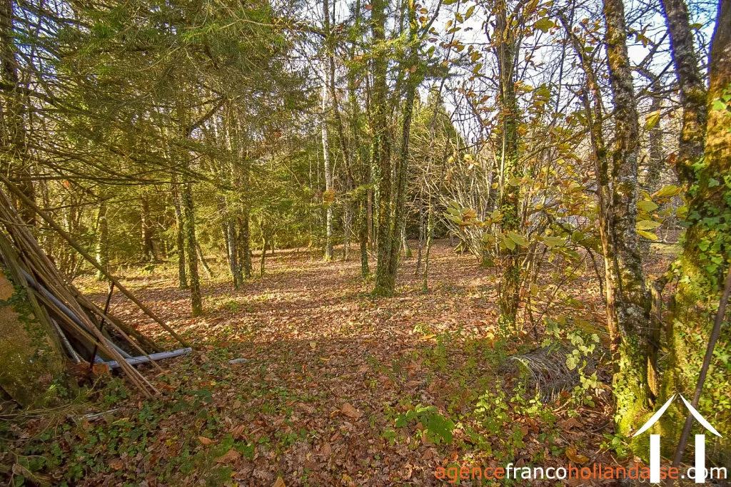 Dorpshuis te koop linards, limousin, Li856 Afbeelding - 75