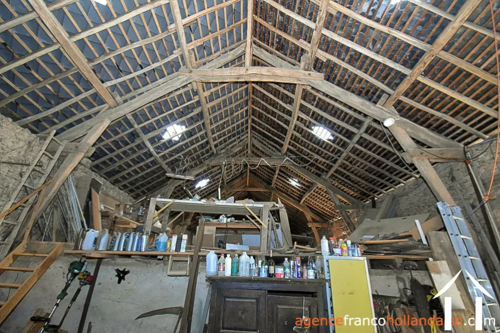 Bezit 1 hectare ++ te koop la croisille sur briance, limousin, Li894 Afbeelding - 30