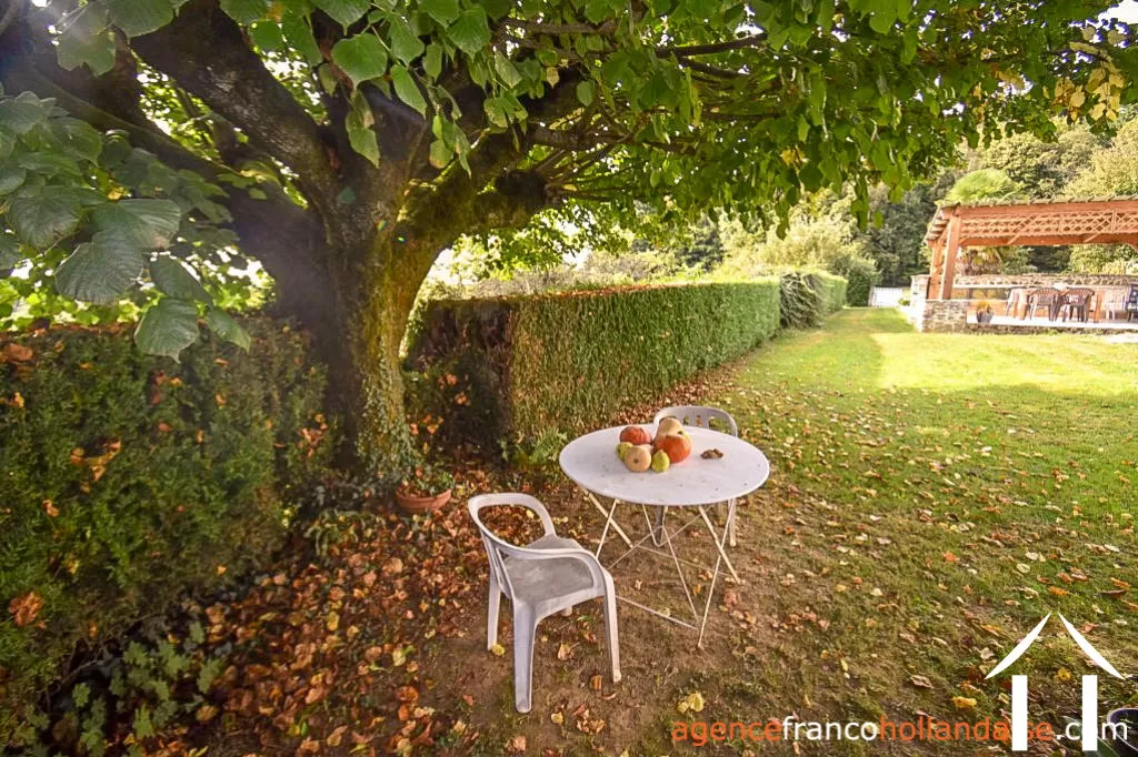 Bezit 1 hectare ++ te koop la croisille sur briance, limousin, Li894 Afbeelding - 25