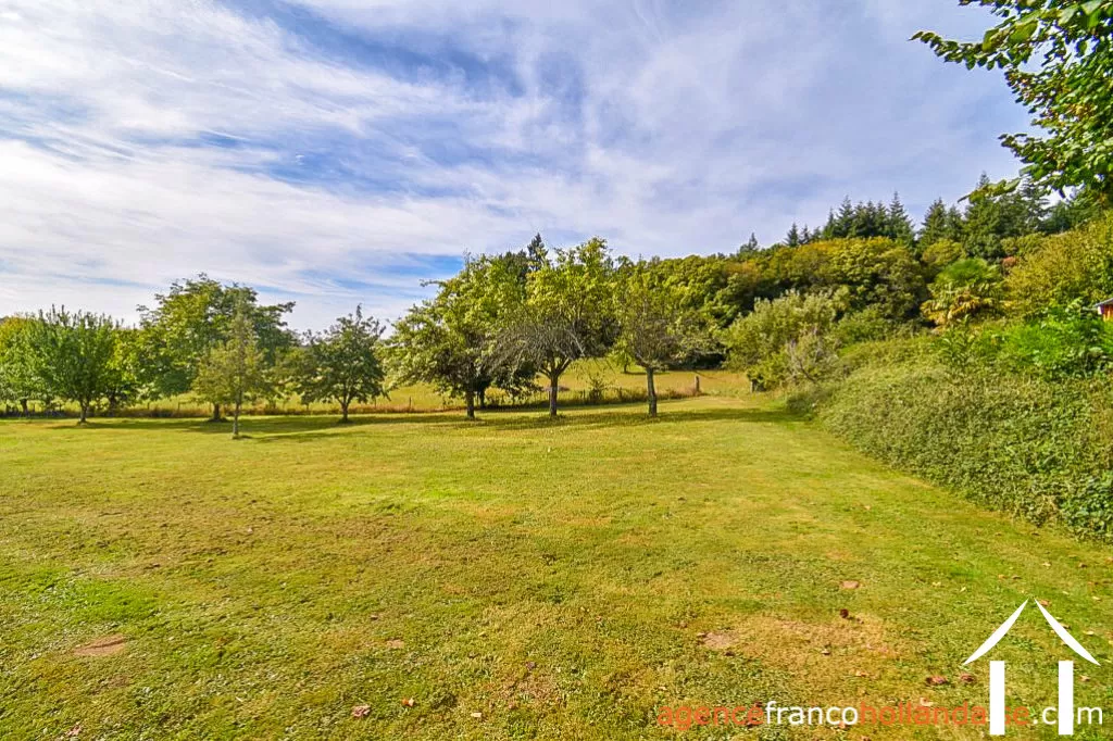 Bezit 1 hectare ++ te koop la croisille sur briance, limousin, Li894 Afbeelding - 50