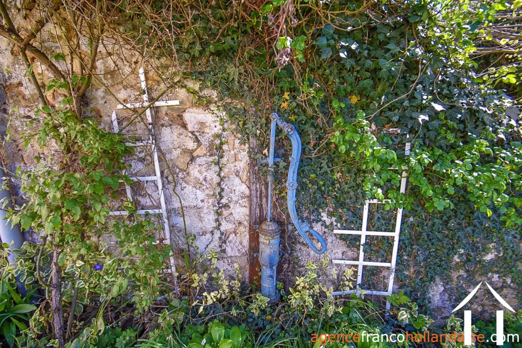 Bezit 1 hectare ++ te koop la croisille sur briance, limousin, Li894 Afbeelding - 49