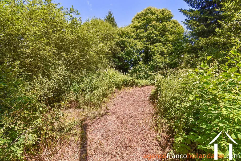 Woonhuis te koop nedde, limousin, Li913 Afbeelding - 39