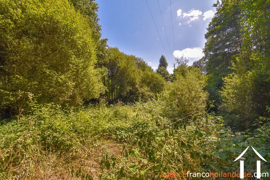 Woonhuis te koop nedde, limousin, Li913 Afbeelding - 40