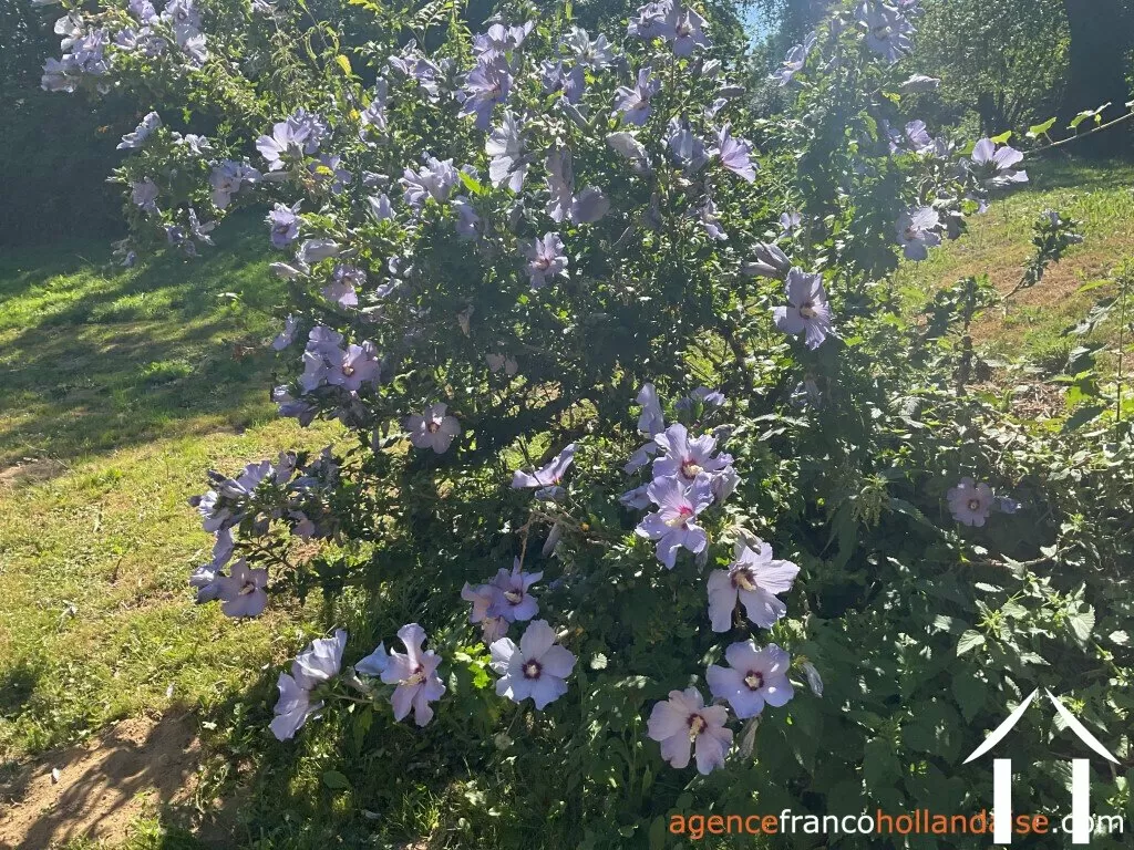 Woonhuis te koop beyssenac, limousin, Li929 Afbeelding - 51