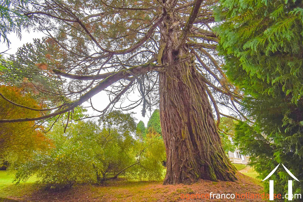 Manoir Landhuis  te koop ussel, auvergne, Li944 Afbeelding - 75