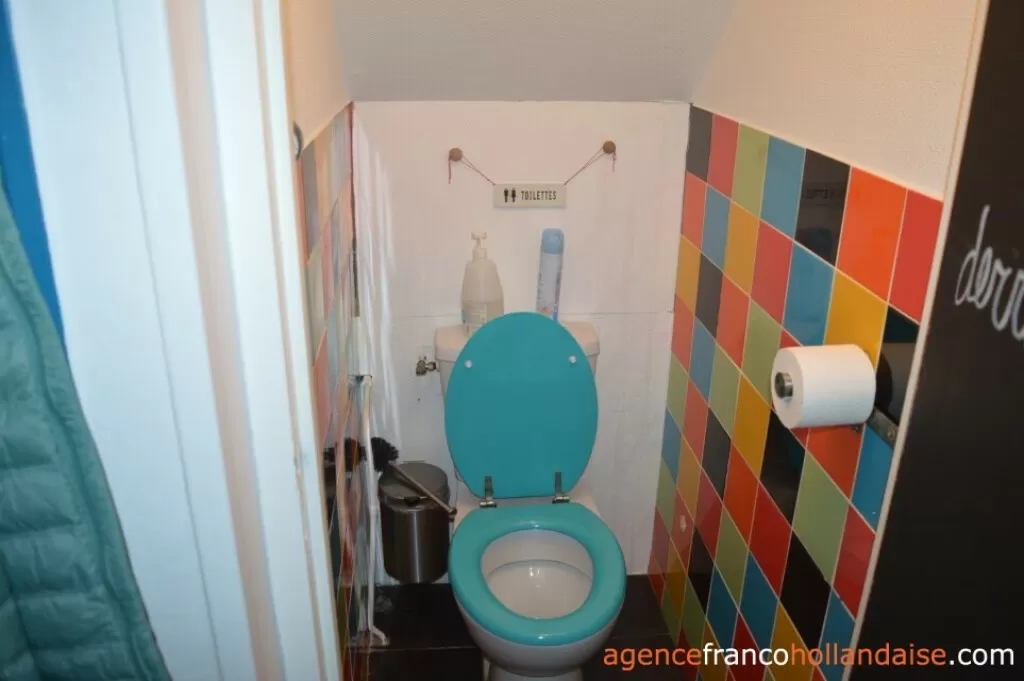 Woonhuis te koop chateauneuf la foret, limousin, Li952 Afbeelding - 31