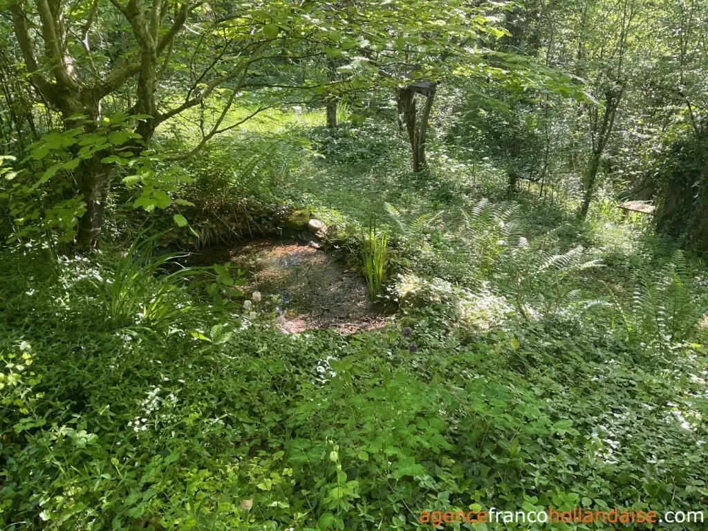 Woonhuis te koop st pardoux corbier, limousin, Li993 Afbeelding - 27