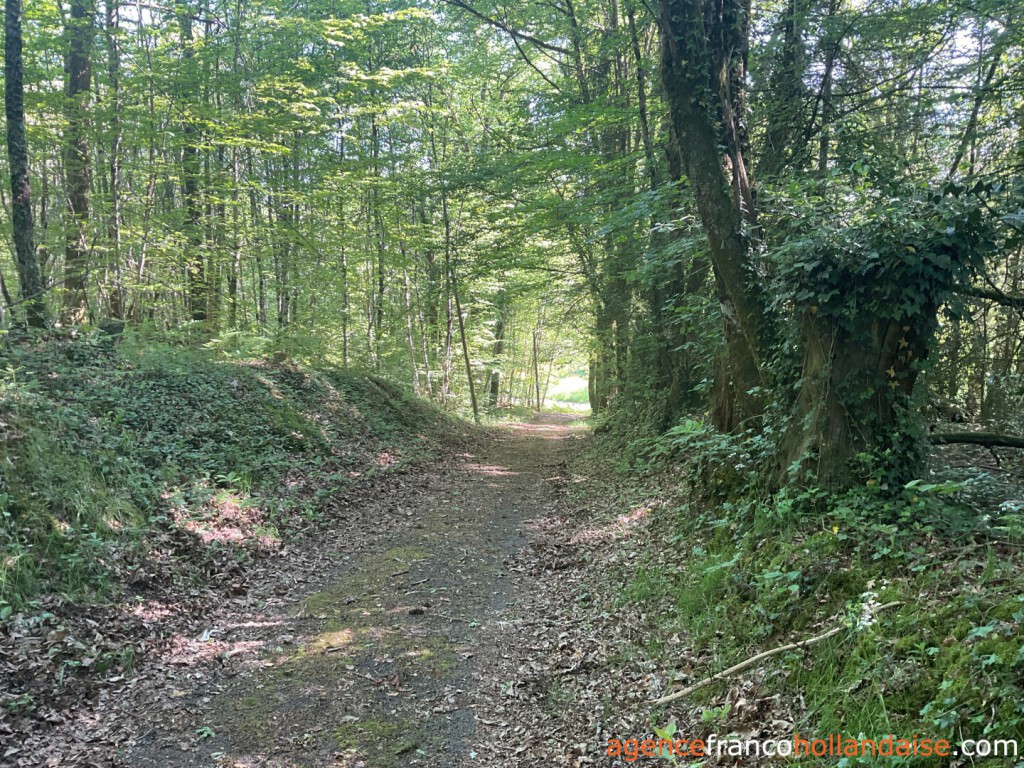 Woonhuis te koop st pardoux corbier, limousin, Li993 Afbeelding - 30