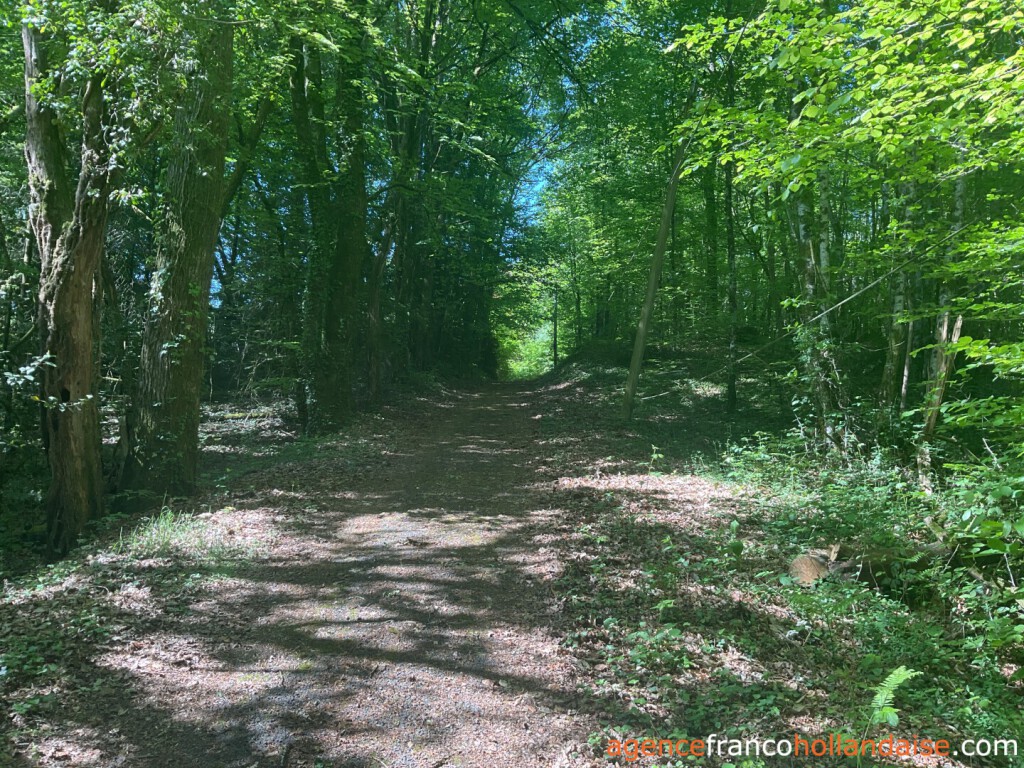 Woonhuis te koop st pardoux corbier, limousin, Li993 Afbeelding - 29