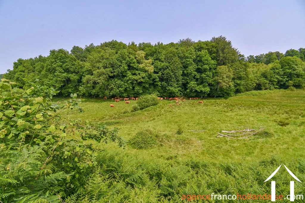 Woonhuis te koop rempnat, limousin, Li996 Afbeelding - 44