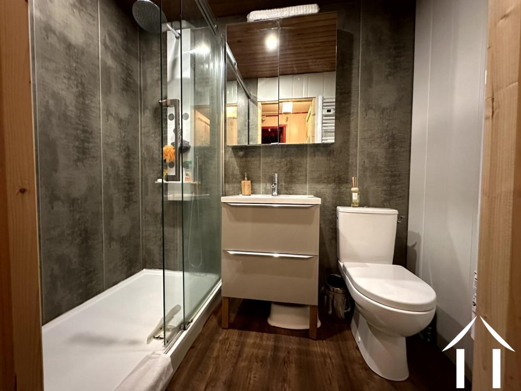 Woonboerderij te koop laprugne, auvergne, AP030071117 Afbeelding - 5