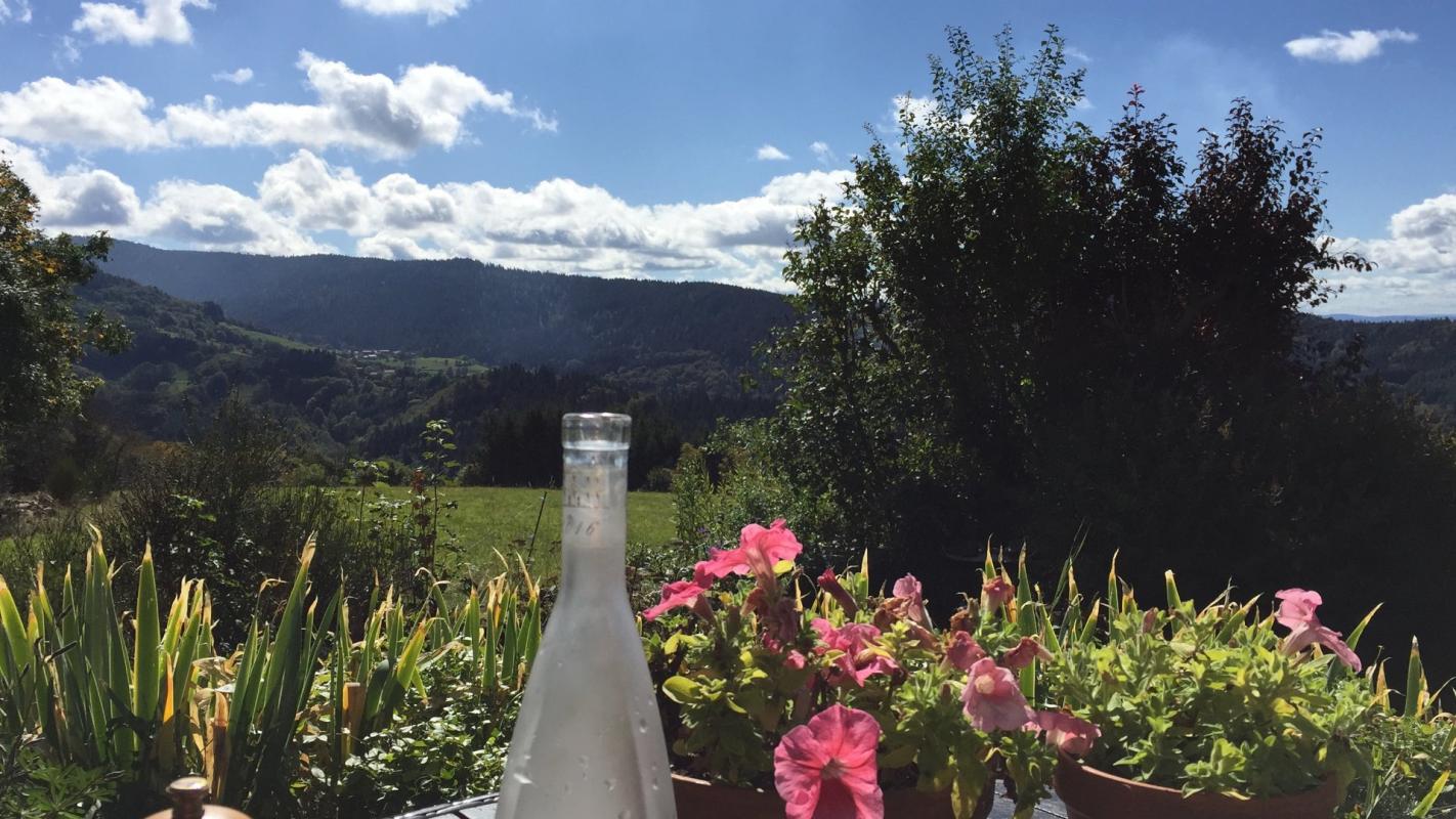 Authentiek stenen huis  te koop valcivieres, auvergne, AP030071137 Afbeelding - 10