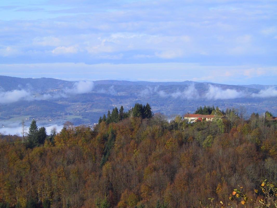 Authentiek stenen huis  te koop valcivieres, auvergne, AP030071137 Afbeelding - 14