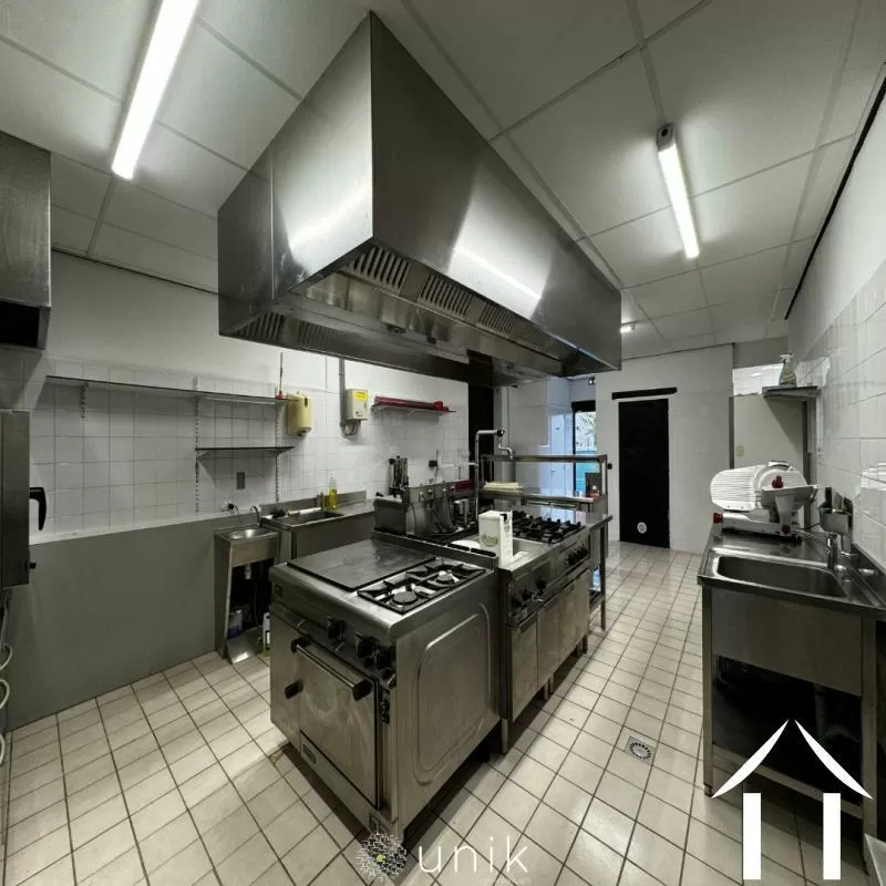 Kasteel te koop vicq, auvergne, AP030071140 Afbeelding - 12