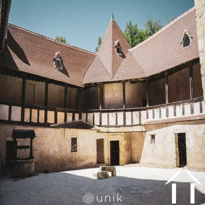 Kasteel te koop vicq, auvergne, AP030071140 Afbeelding - 14
