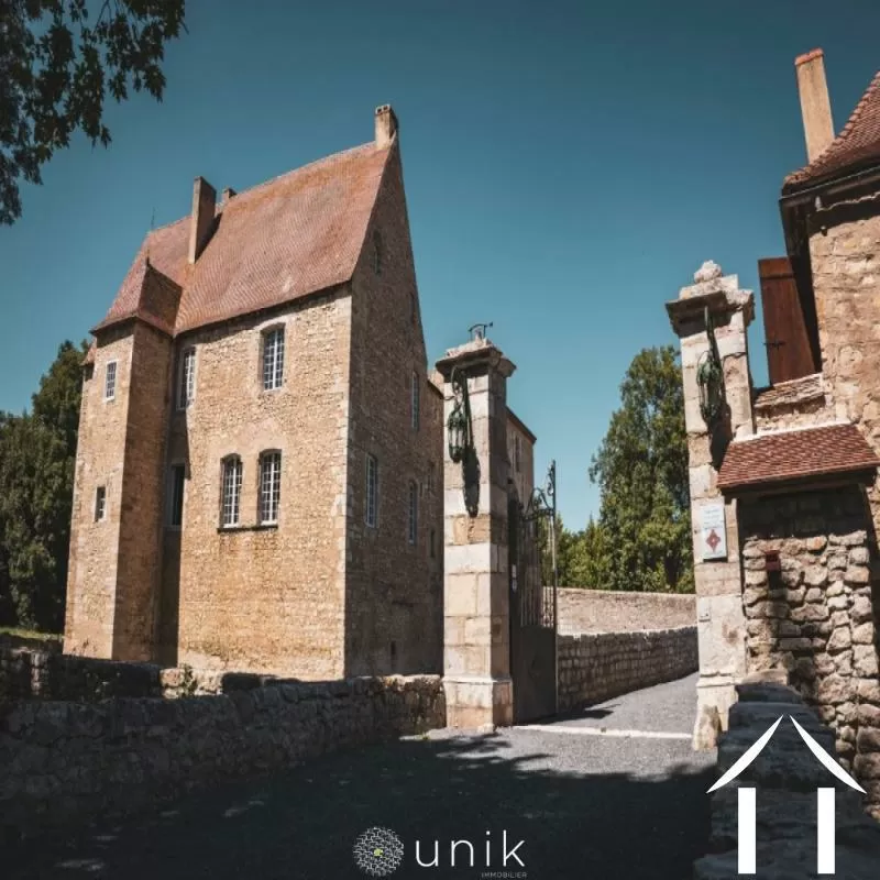 Kasteel te koop vicq, auvergne, AP030071140 Afbeelding - 2