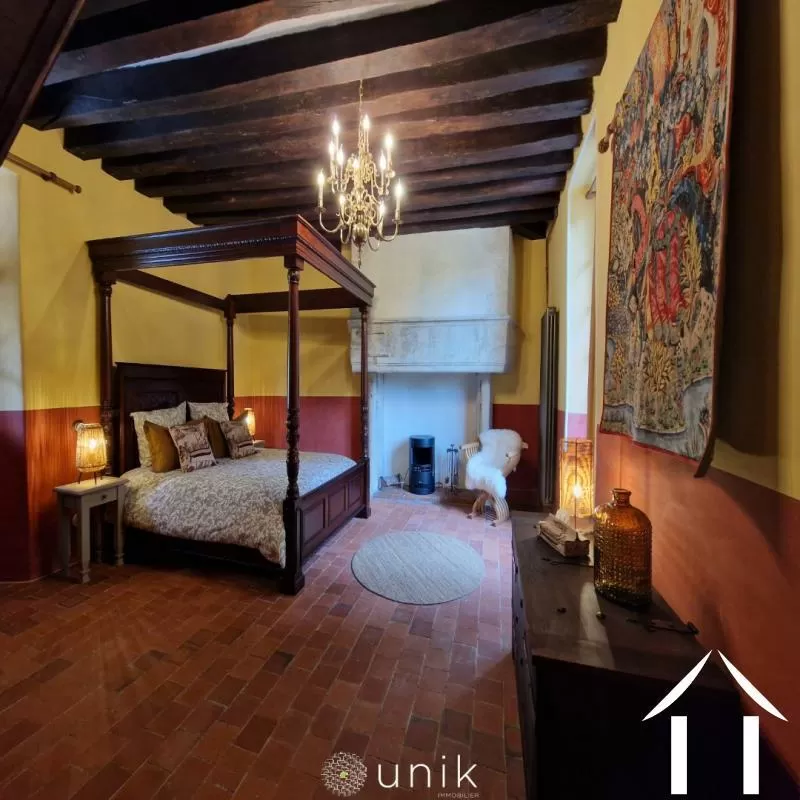 Kasteel te koop vicq, auvergne, AP030071140 Afbeelding - 5