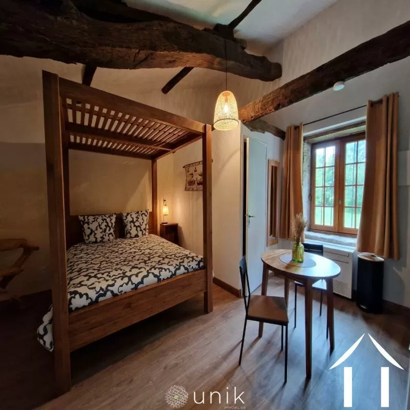Kasteel te koop vicq, auvergne, AP030071140 Afbeelding - 6