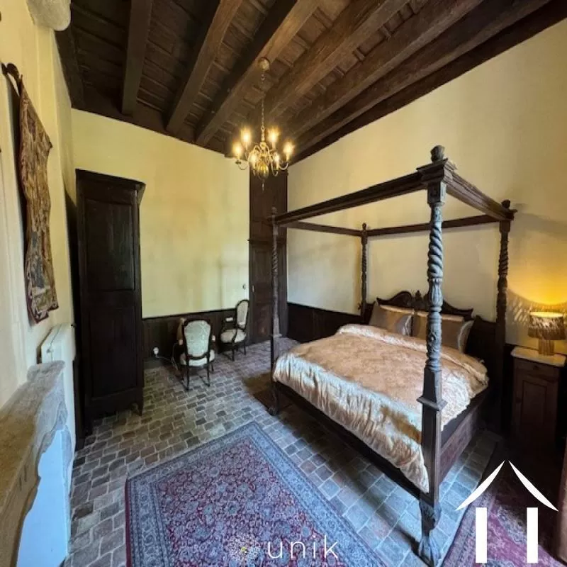 Kasteel te koop vicq, auvergne, AP030071140 Afbeelding - 8