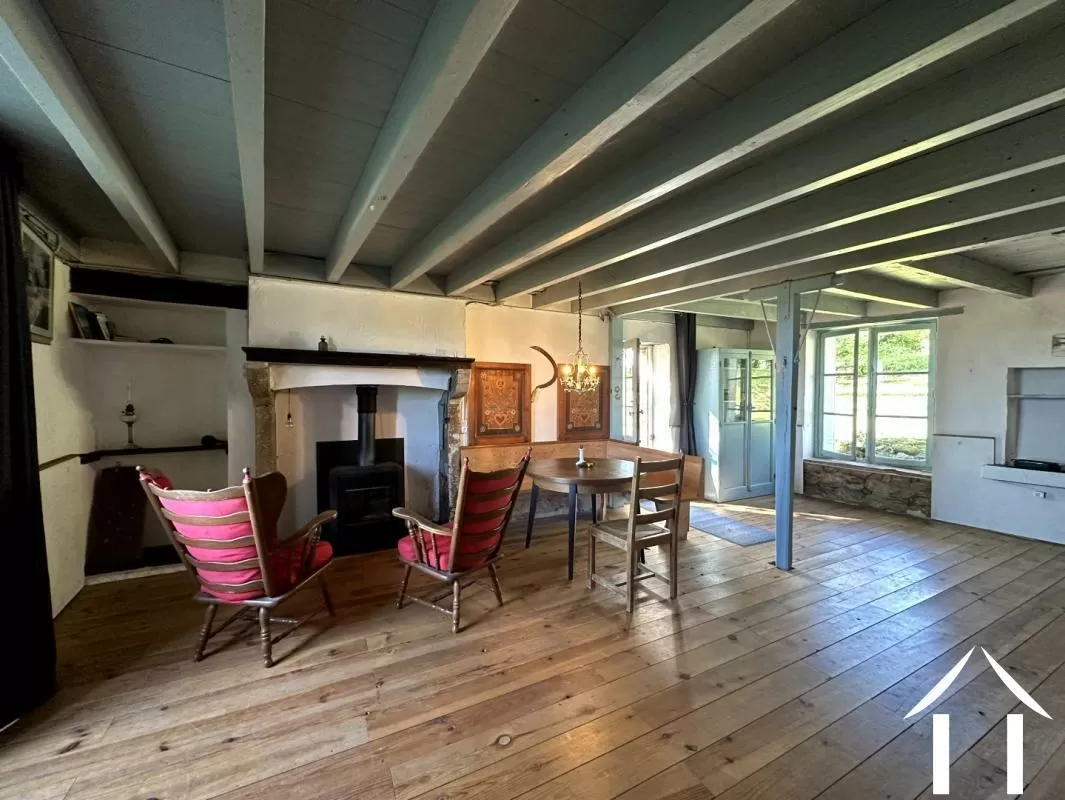 Woonhuis te koop nades, auvergne, AP030071167 Afbeelding - 2