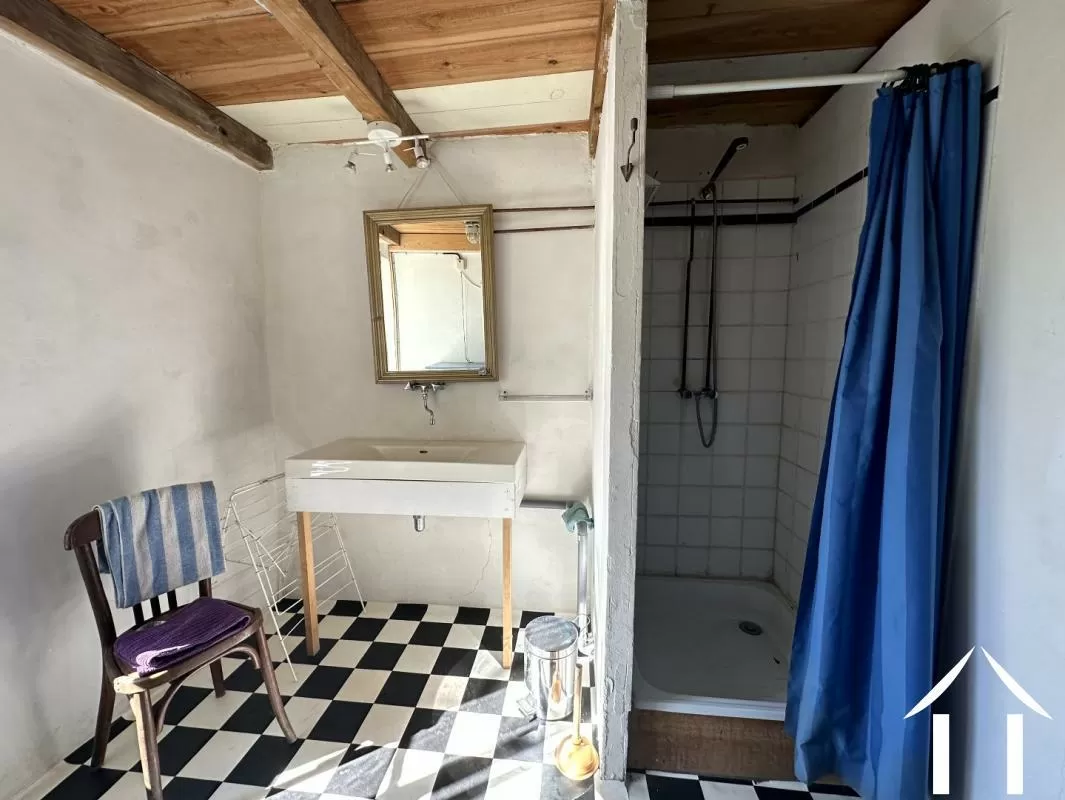 Woonhuis te koop nades, auvergne, AP030071167 Afbeelding - 6
