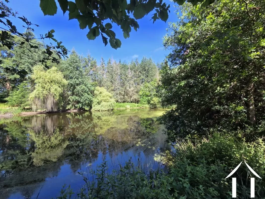 Woonboerderij te koop st caprais, auvergne, AP030071185 Afbeelding - 9