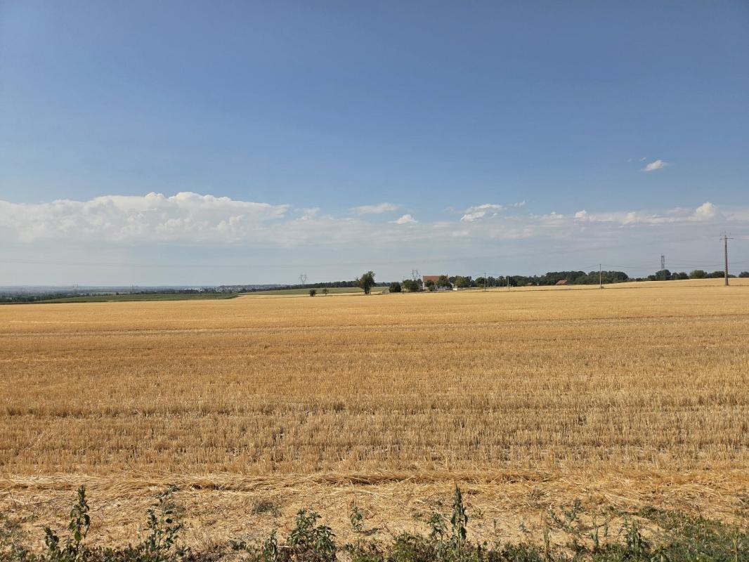 Bezit 1 hectare ++ te koop sanssat, auvergne, AP030071199 Afbeelding - 13