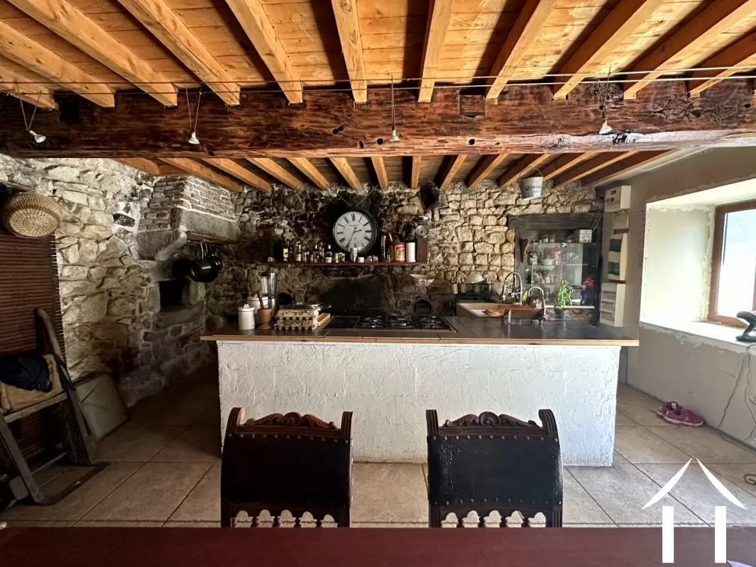 Bezit 1 hectare ++ te koop st priest la prugne, rhône-alpen, AP030071205 Afbeelding - 3