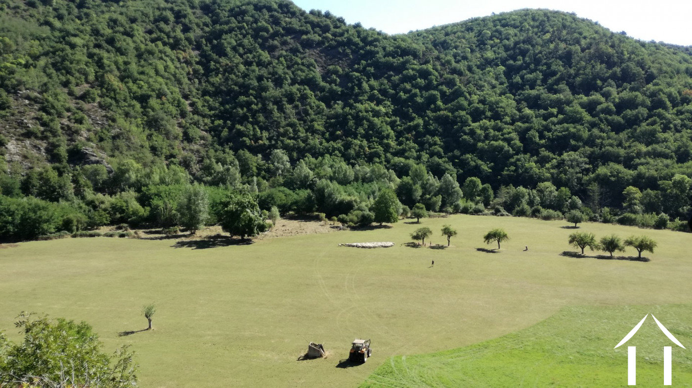 Bezit 1 hectare ++ te koop blesle, auvergne, AP03007902 Afbeelding - 2