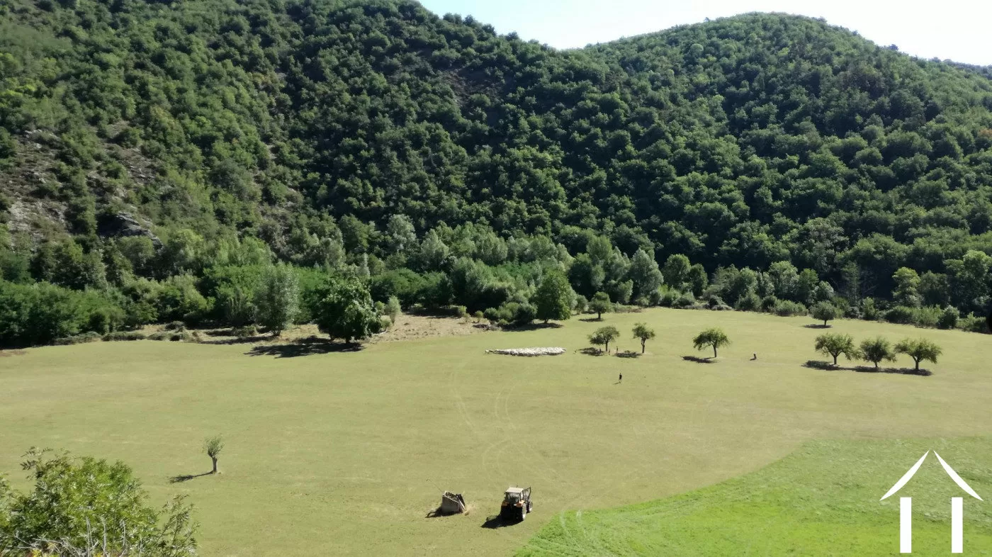 Bezit 1 hectare ++ te koop blesle, auvergne, AP03007902 Afbeelding - 2