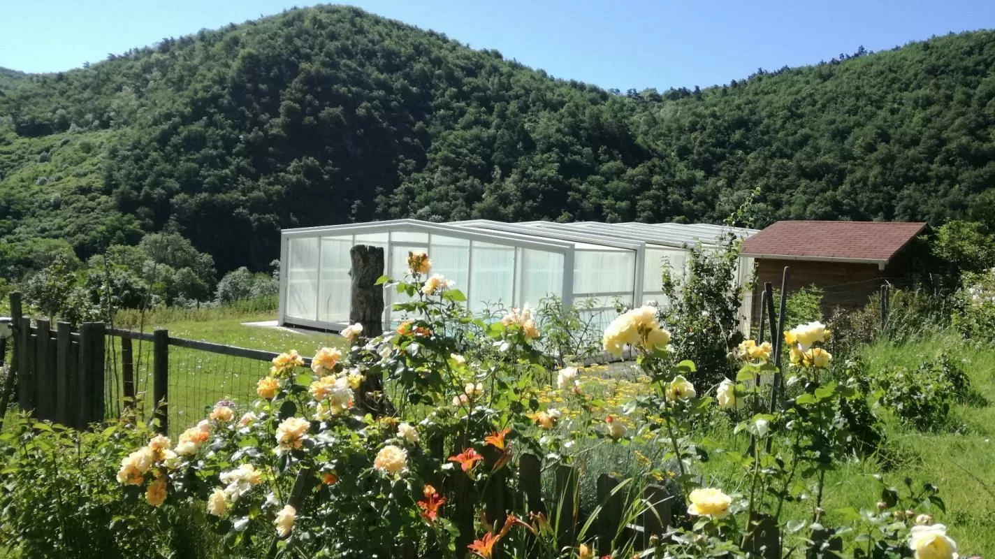 Bezit 1 hectare ++ te koop blesle, auvergne, AP03007902 Afbeelding - 1