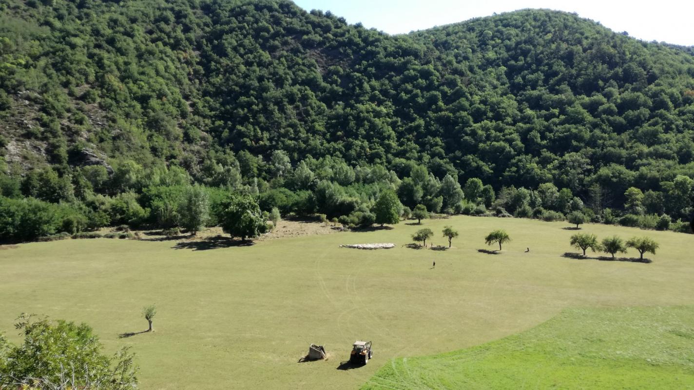 Bezit 1 hectare ++ te koop blesle, auvergne, AP03007902 Afbeelding - 14