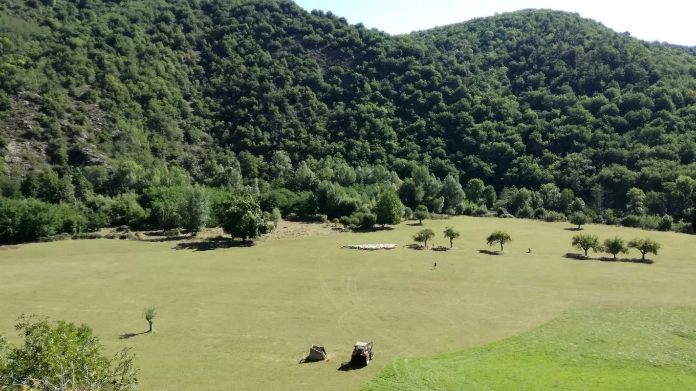 Bezit 1 hectare ++ te koop blesle, auvergne, AP03007902 Afbeelding - 14