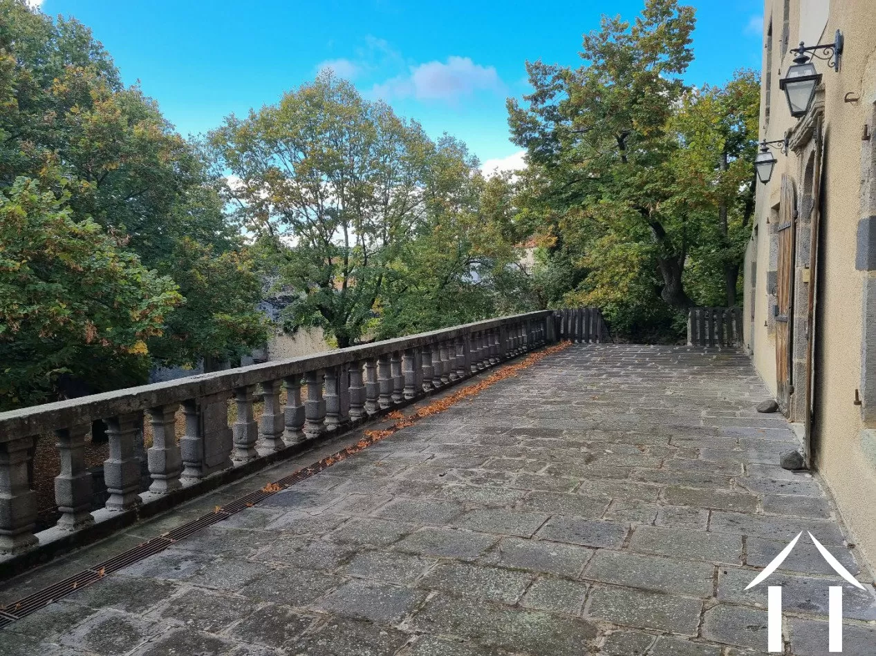 Châteaux, landhuizen te koop antoingt, auvergne, AP03007945 Afbeelding - 19