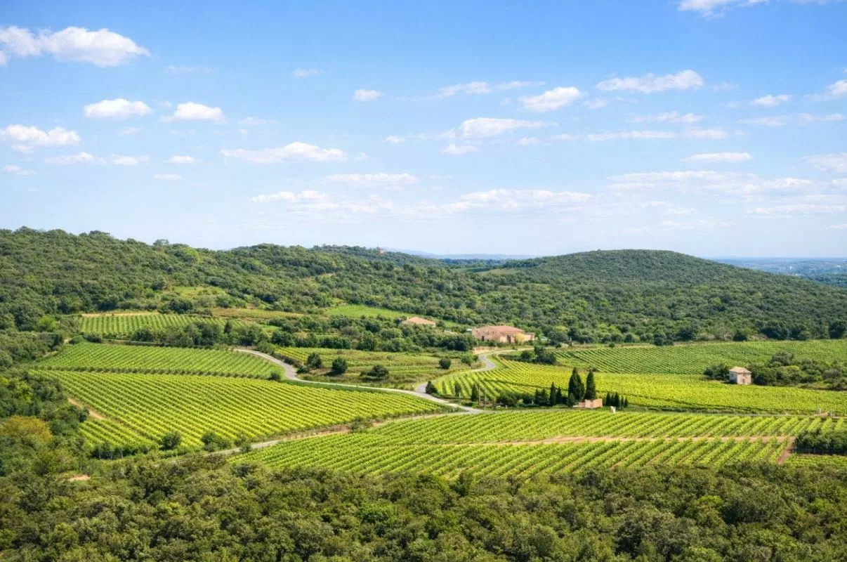 Woonhuis te koop faugeres, rhône-alpen, EG11-2546 Afbeelding - 9