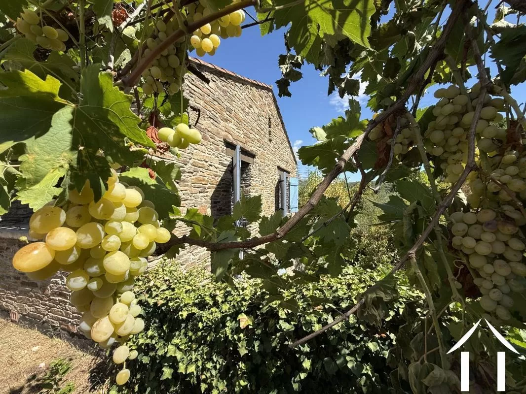 Authentiek stenen huis  te koop lamalou les bains, languedoc-roussillon, EG11-2561 Afbeelding - 4