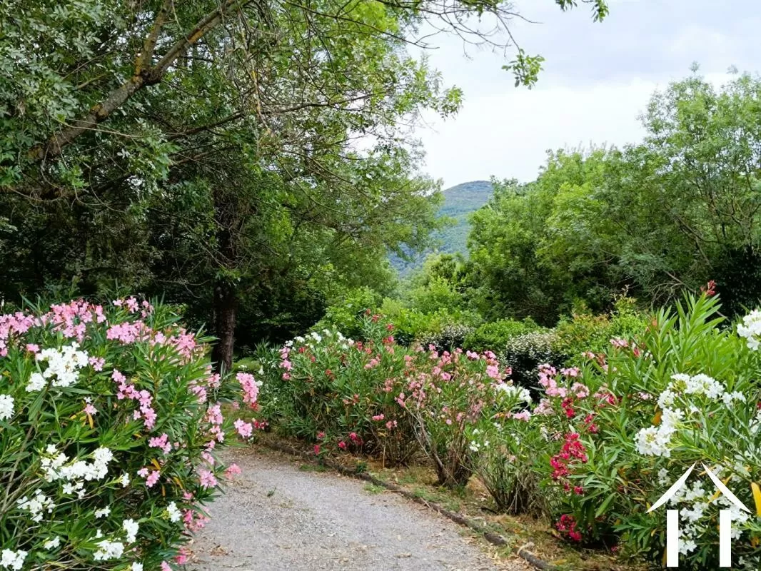 Woonhuis te koop colombieres sur orb, languedoc-roussillon, EG11-2562 Afbeelding - 3