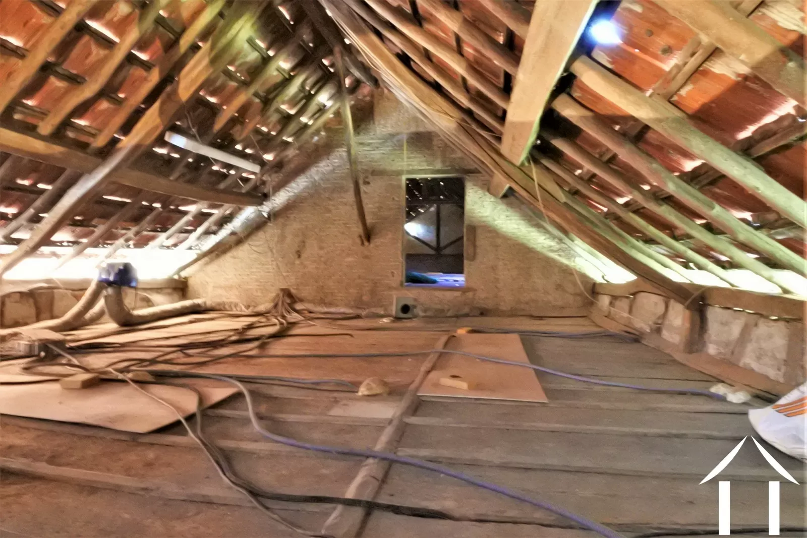 Bezit 1 hectare ++ te koop st didier en bresse, bourgogne, JP5248B Afbeelding - 13