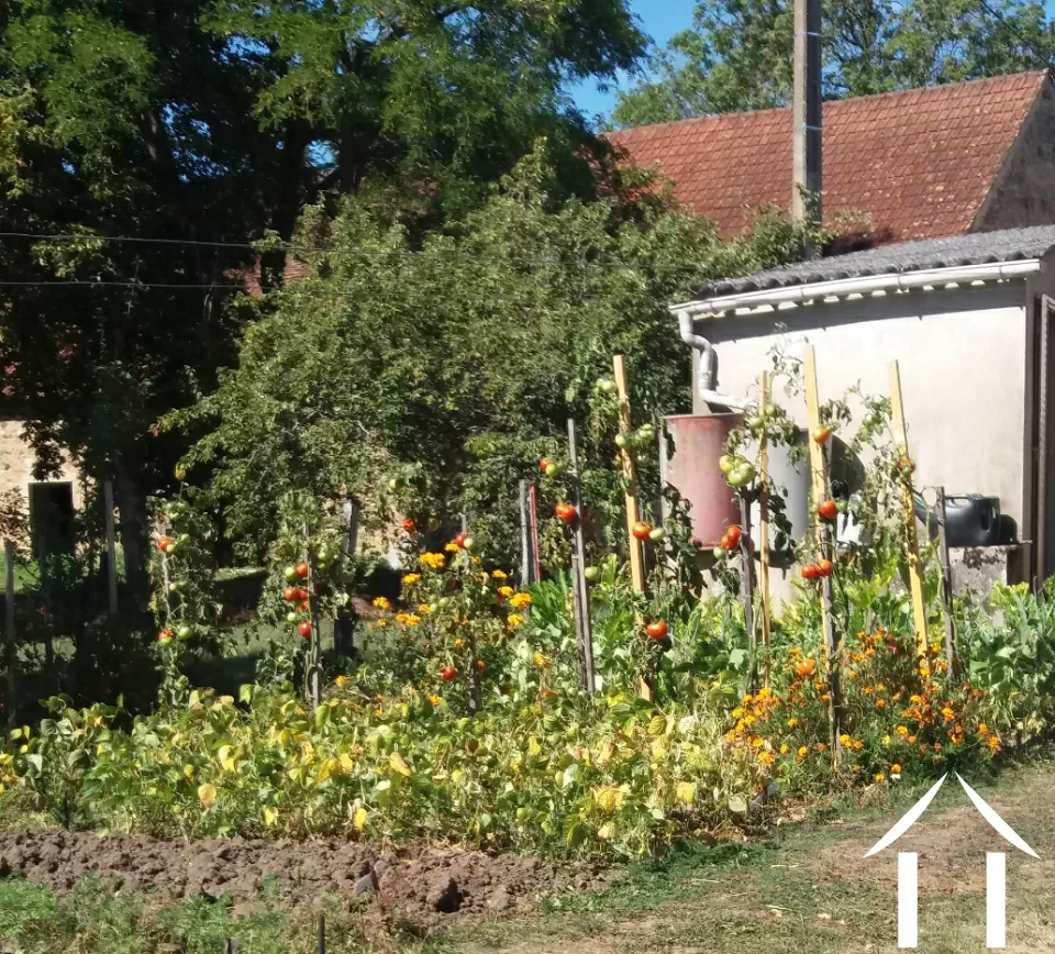 Groentetuin