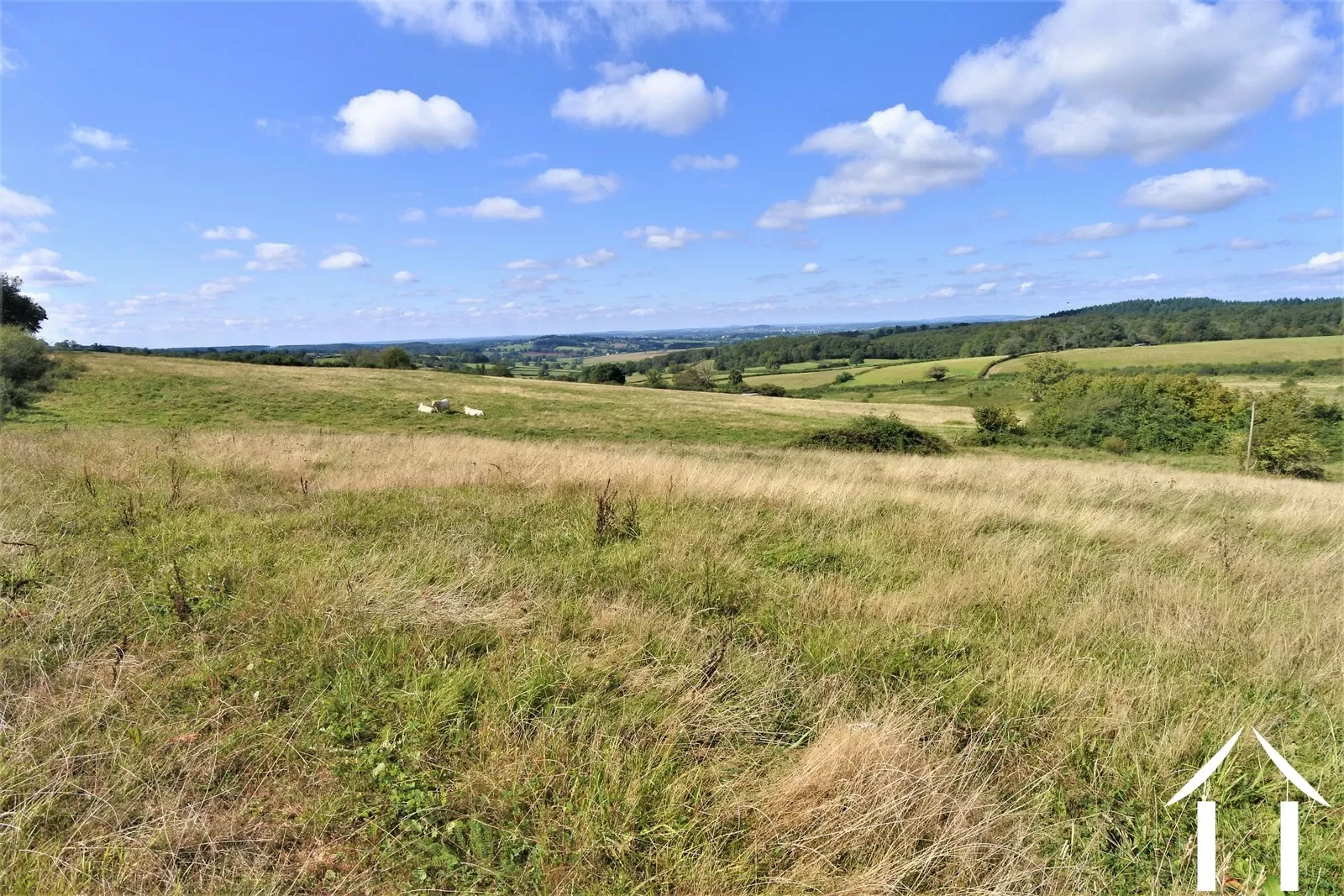 Woonboerderij te koop marigny, bourgogne, JP5266S Afbeelding - 5