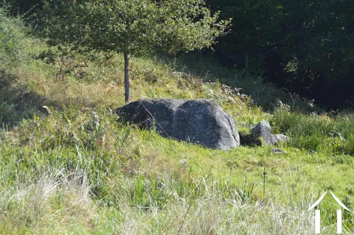 Bezit 1 hectare ++ te koop tazilly, bourgogne, RP5275M Afbeelding - 28