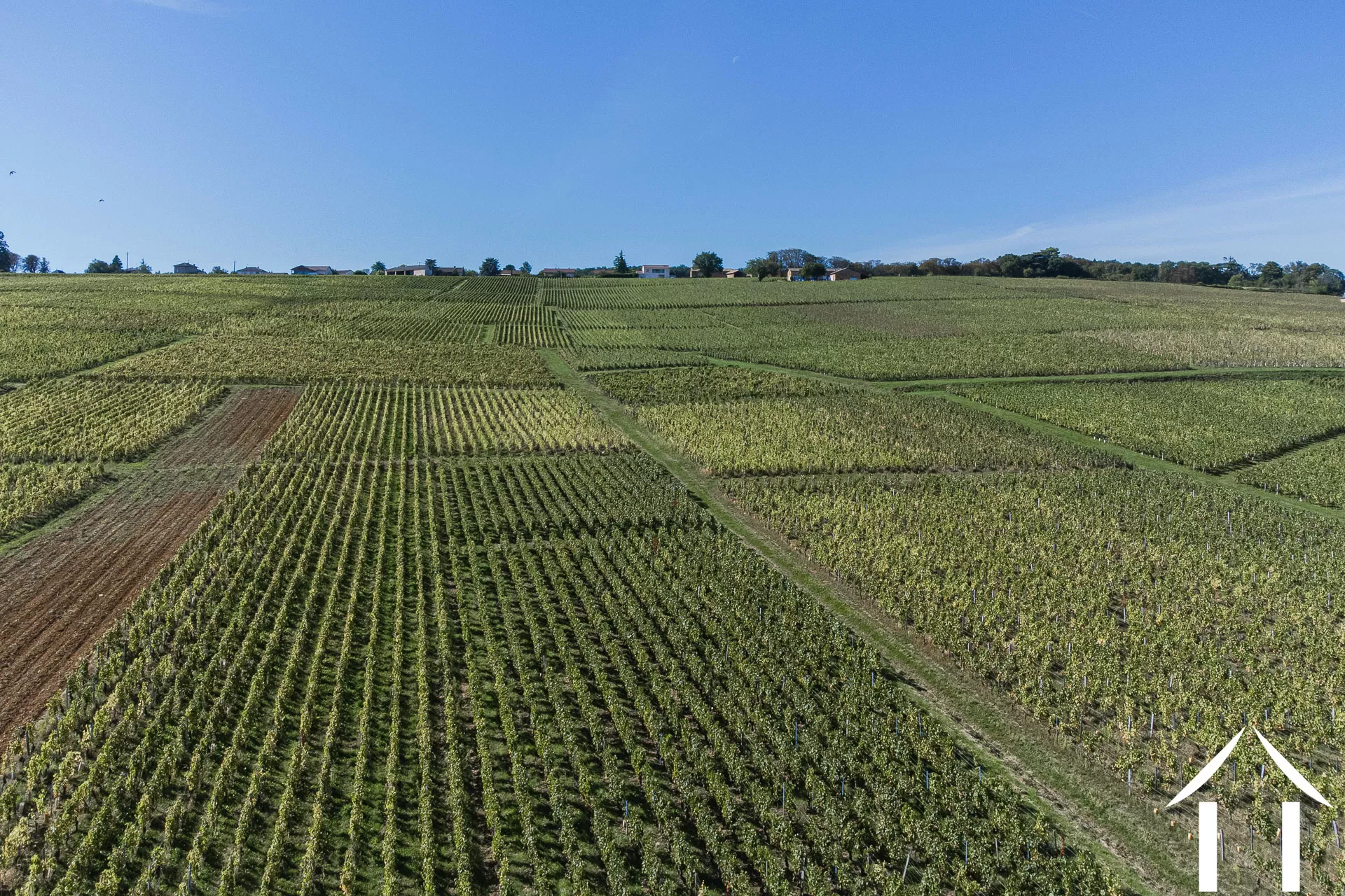 Manoir Landhuis  te koop macon, bourgogne, JP5262S Afbeelding - 20