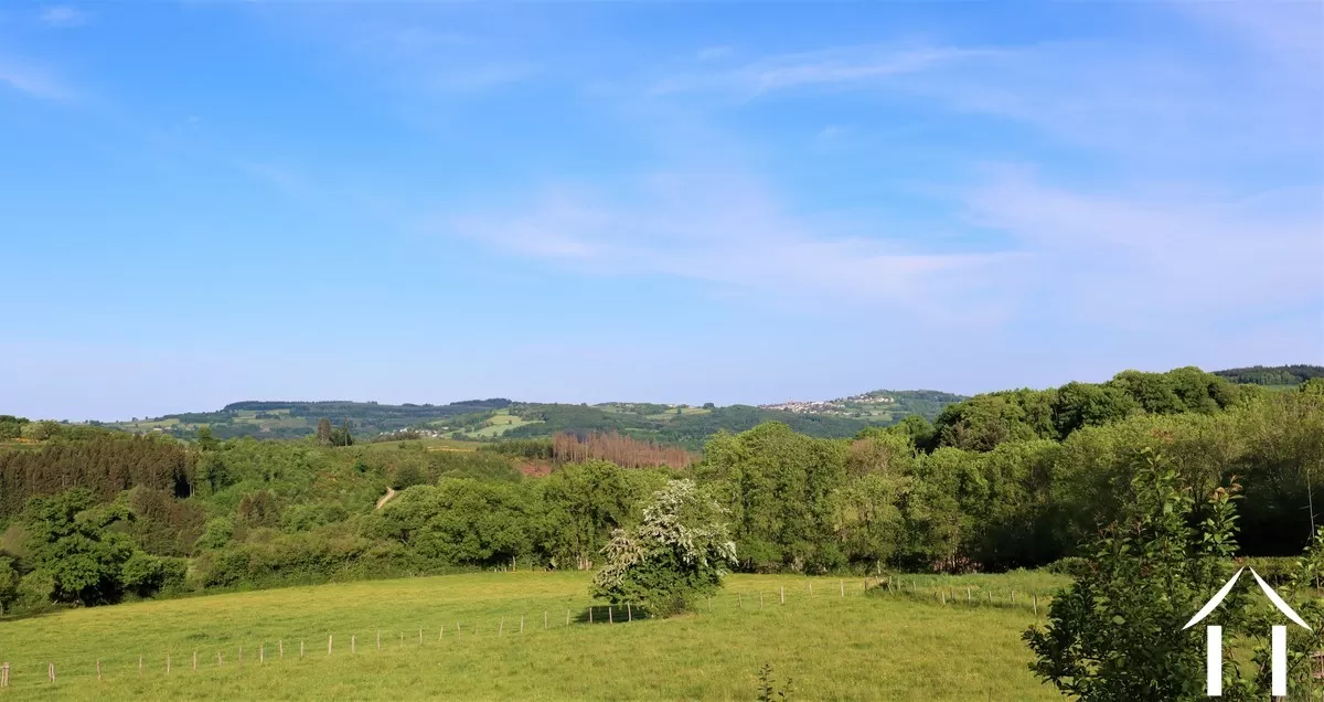 Authentiek stenen huis  te koop arleuf, bourgogne, CvH5323L Afbeelding - 22