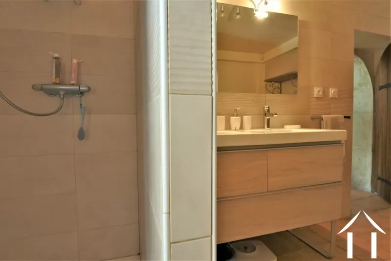 Huis met gastverblijf te koop igornay, bourgogne, JP5365S Afbeelding - 32