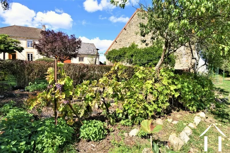 Huis met gastverblijf te koop igornay, bourgogne, JP5365S Afbeelding - 35