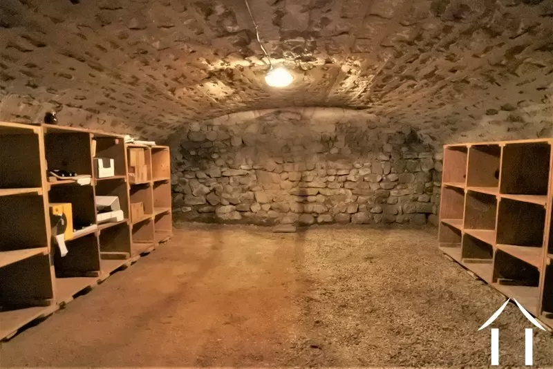 Huis met gastverblijf te koop igornay, bourgogne, JP5365S Afbeelding - 19