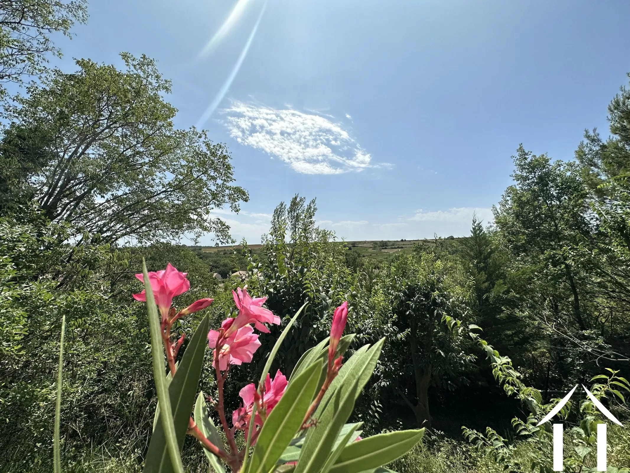 Woonhuis te koop magalas, languedoc-roussillon, 11-2474 Afbeelding - 5