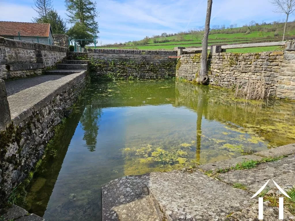 Water source - pond