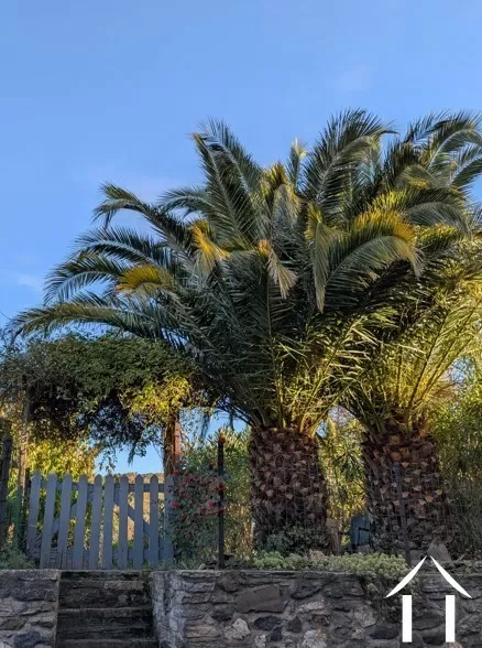 Woonhuis te koop roquessels, languedoc-roussillon, 11-2508 Afbeelding - 5